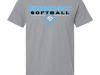 SWINGCHECK SOFTBALL COMFORT COLORS TEE